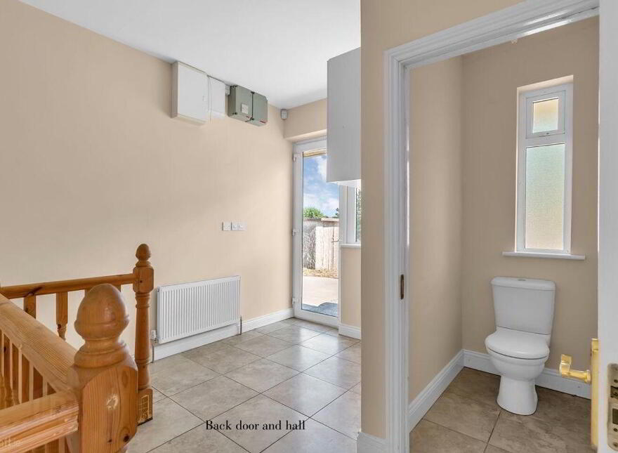 Wells, Bagenalstown, R21K256