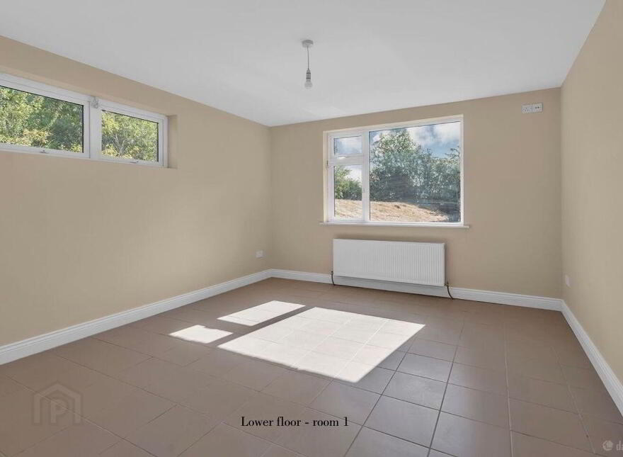 Wells, Bagenalstown, R21K256