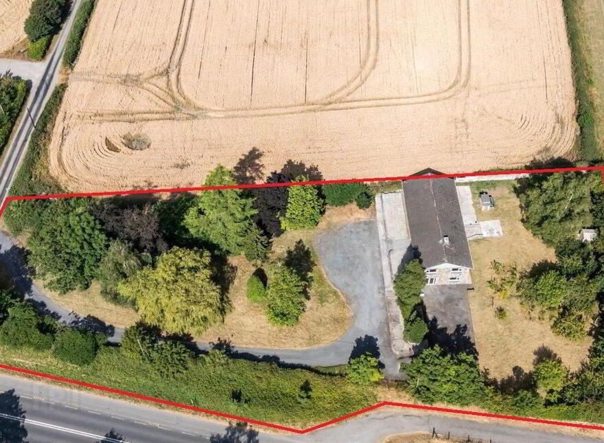 Wells, Bagenalstown, R21K256