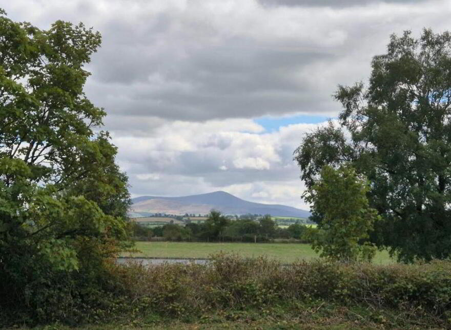Wells, Bagenalstown, R21K256