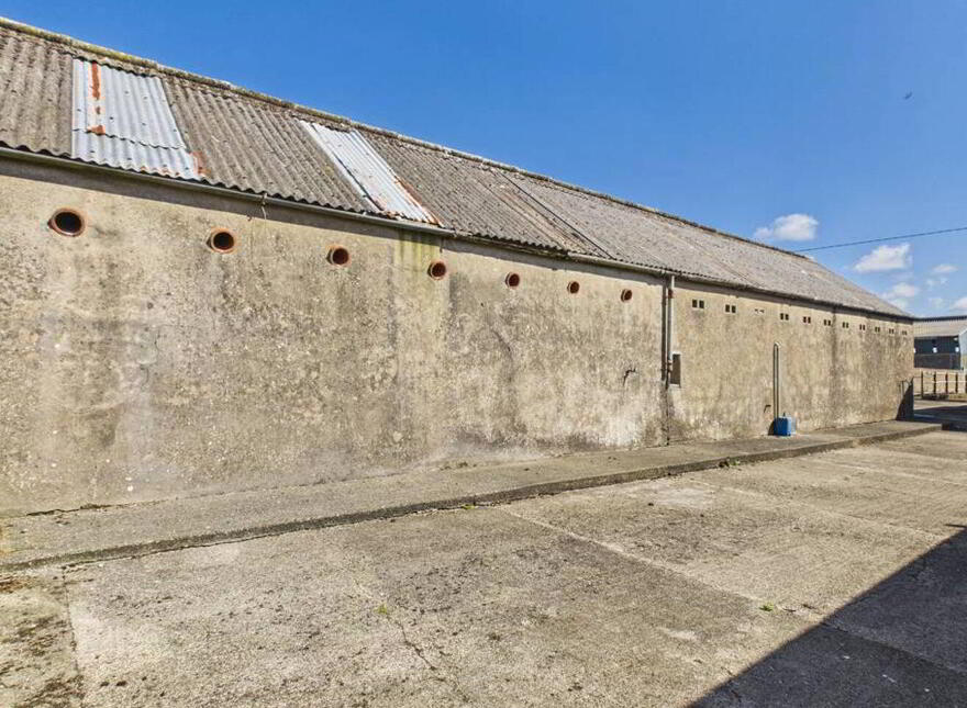 Rinevella, Carrigaholt, V15K124