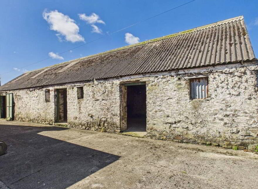 Rinevella, Carrigaholt, V15K124