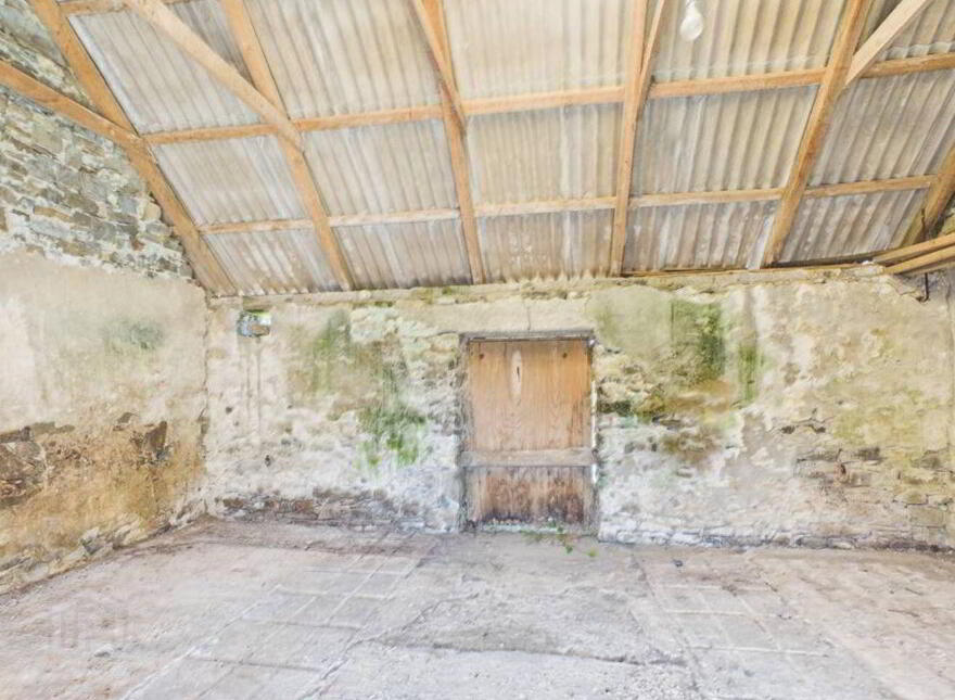 Rinevella, Carrigaholt, V15K124