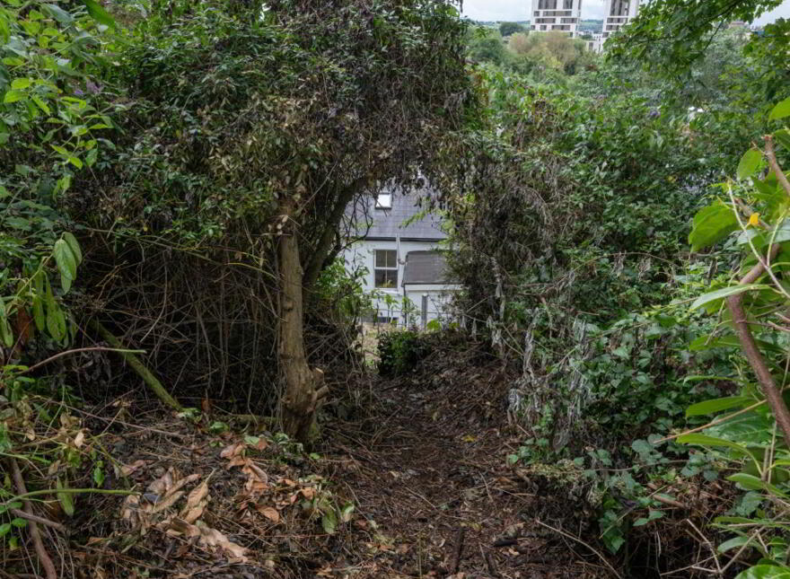 1 Strawberry Cottages, Lee Road, Sundays Well, Cork, T23K12Y
