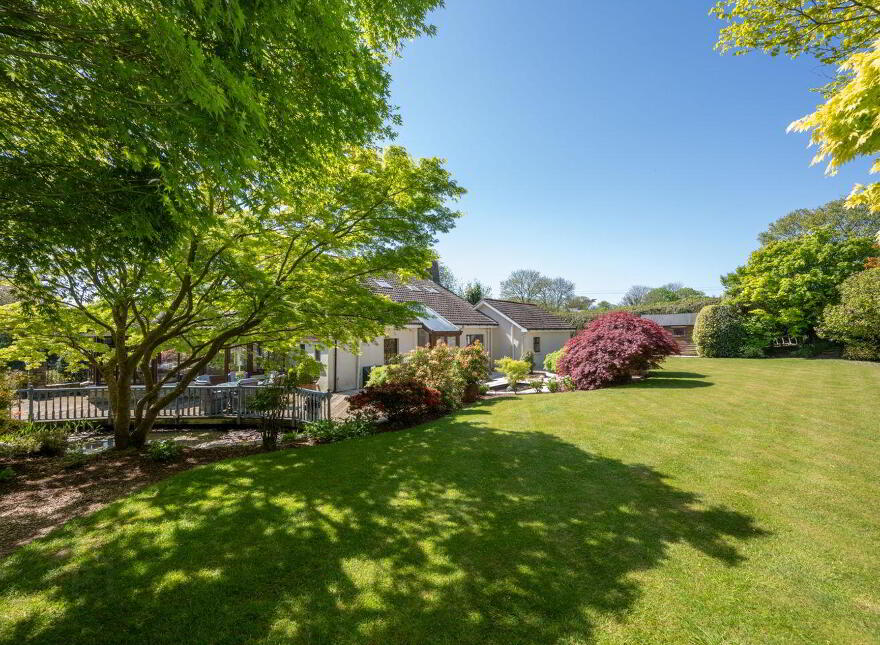 Roselodge, Model Farm Road, Model Farm Road, T12KN6Y