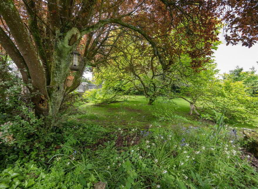 Carrigbawn, Blackrock Road, Cork, T12PYR6