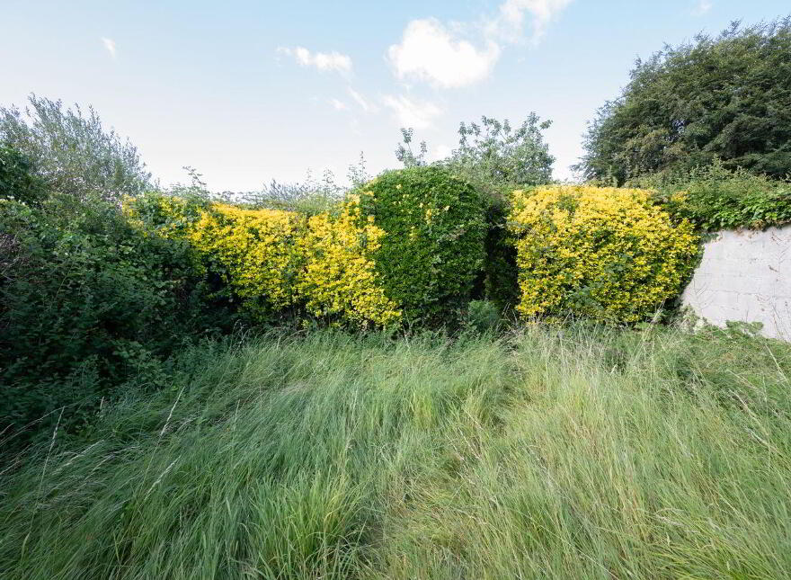 Hollymount, 60 Hartlands Avenue, The Lough, The Lough, T12C3K7
