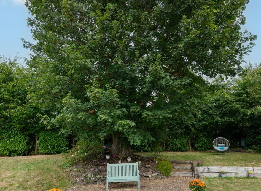 Sycamore House, Station Road, Blarney, T23K265