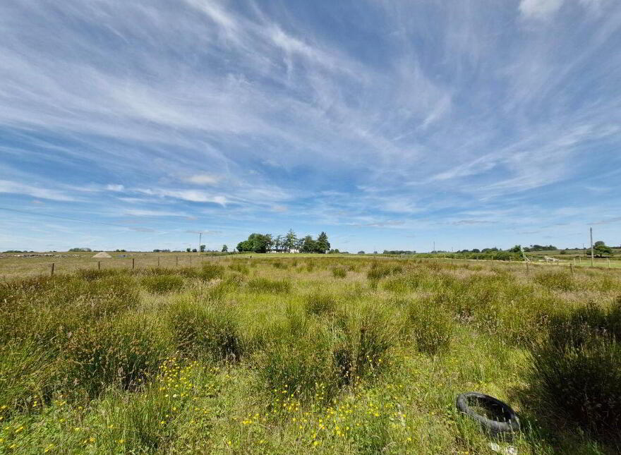 Brierfield Burke, Moylough, Moylough