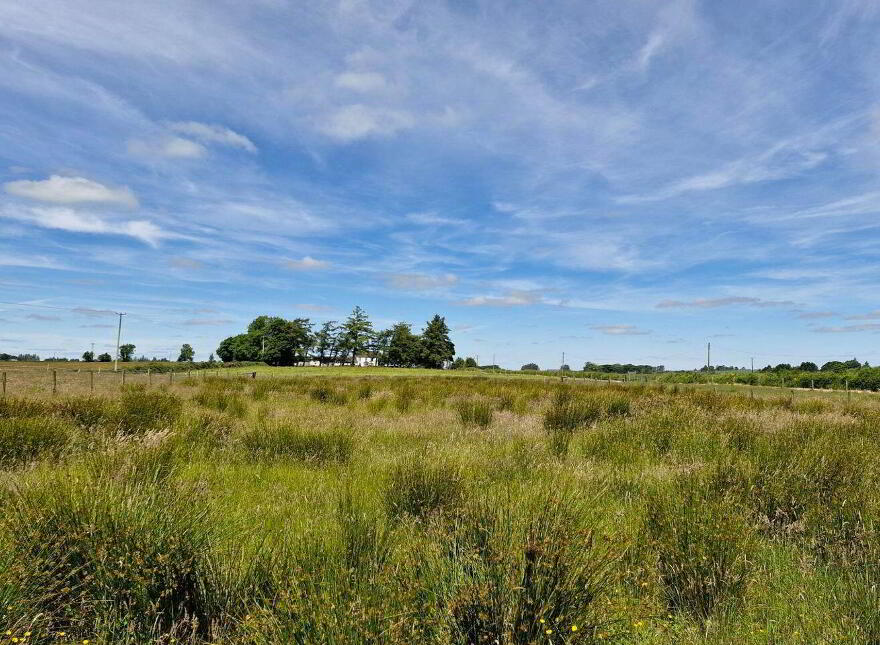 Brierfield Burke, Moylough, Moylough