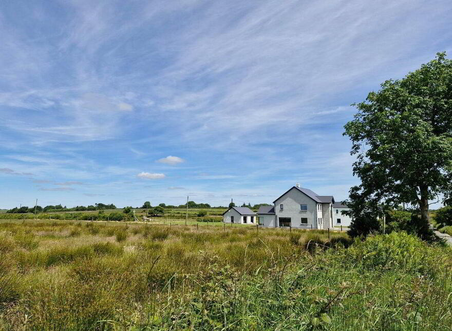 Brierfield Burke, Moylough, Moylough