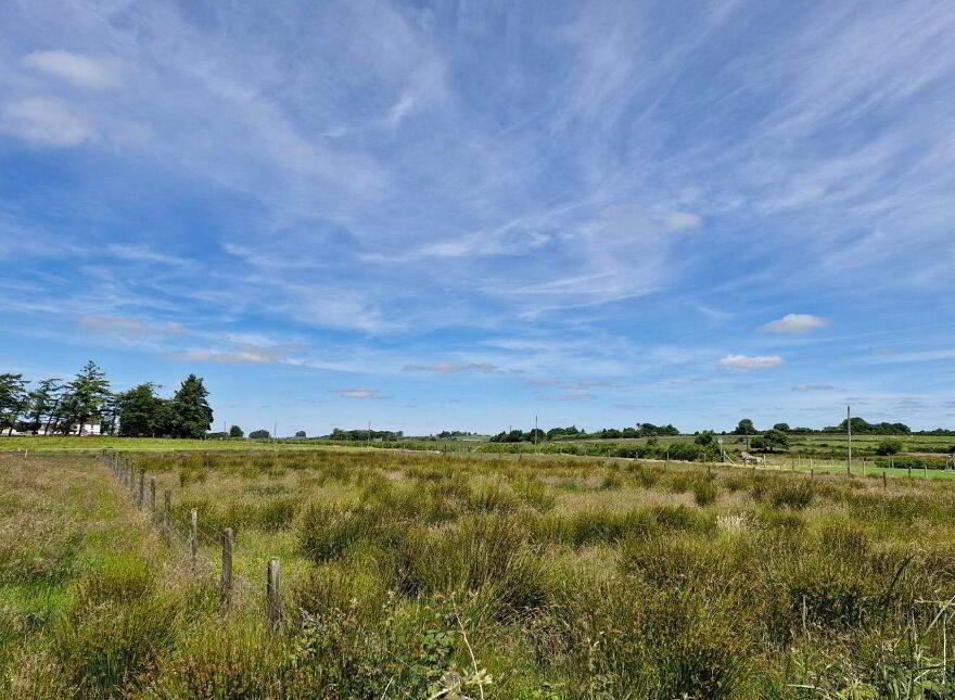 Brierfield Burke, Moylough, Moylough