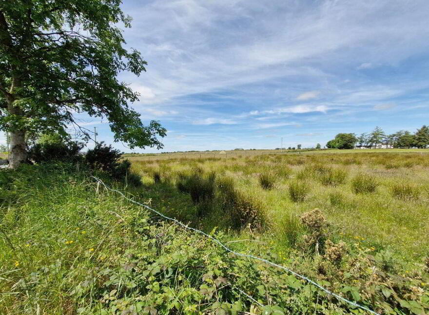Brierfield Burke, Moylough, Moylough