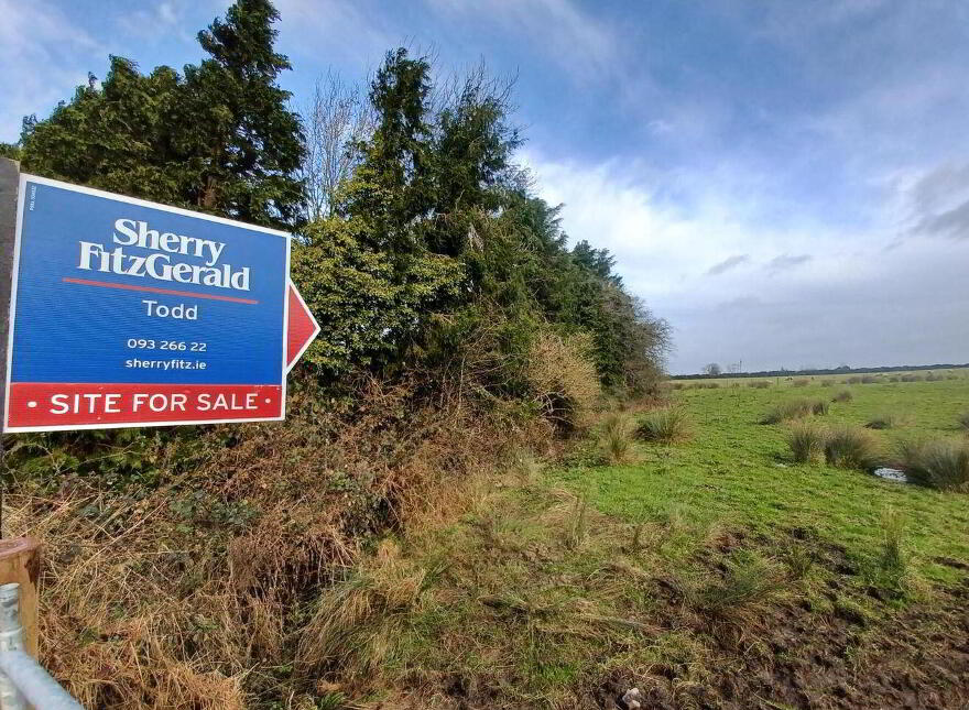 0.543 Acre / 0, 22 Ha, Lehanagh, Mountbellew