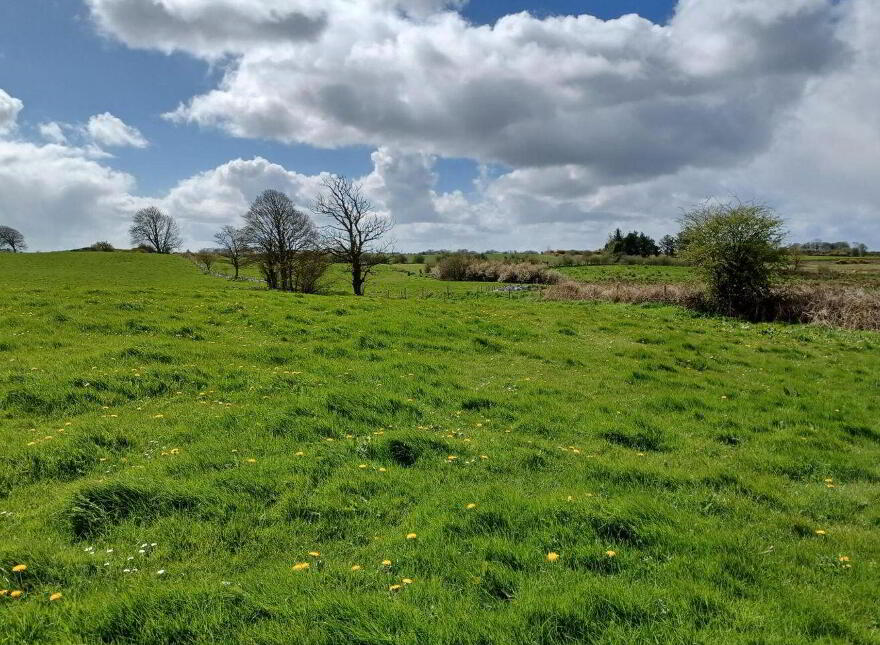 0.69 Acre Site With, F P.p, Clooneen, Dunmore