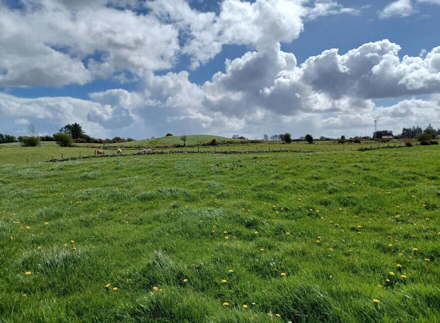 0.69 Acre Site With, F P.p, Clooneen, Dunmore