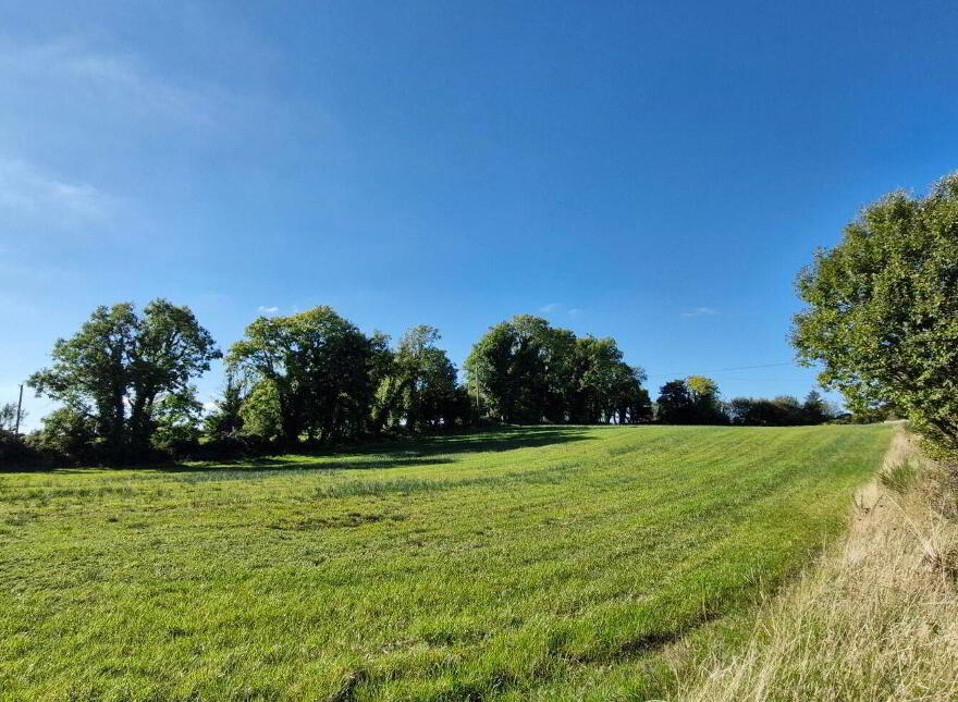 1.97 Acre Site In Gortnalea, Gortnalea, Dunmore