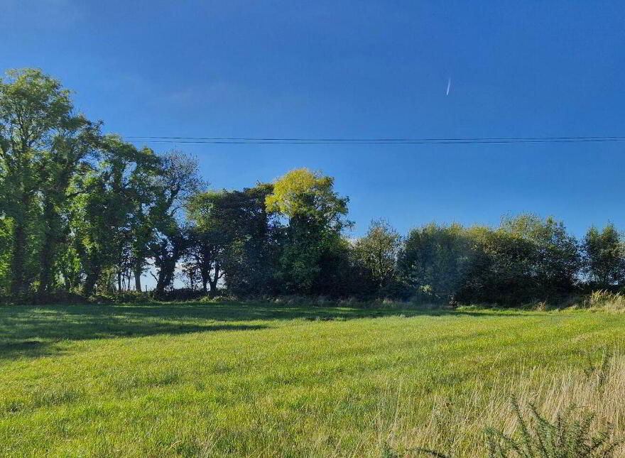 1.97 Acre Site In Gortnalea, Gortnalea, Dunmore