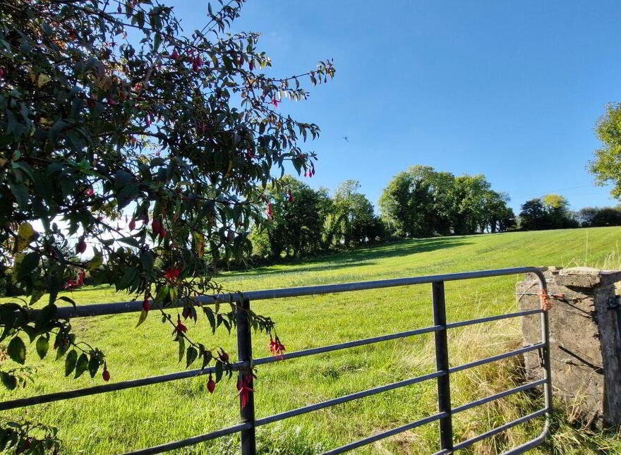 1.97 Acre Site In Gortnalea, Gortnalea, Dunmore