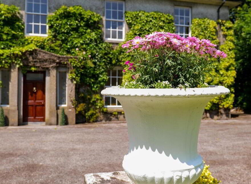 Prospect House, Old Ballygaddy Road, Tuam, H54V382