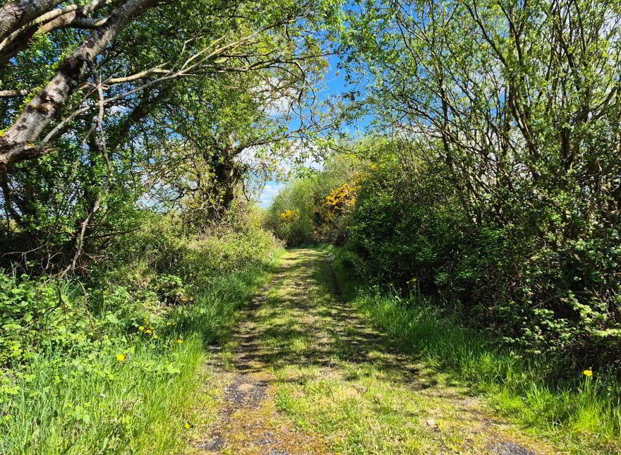 Pollaturick, Milltown
