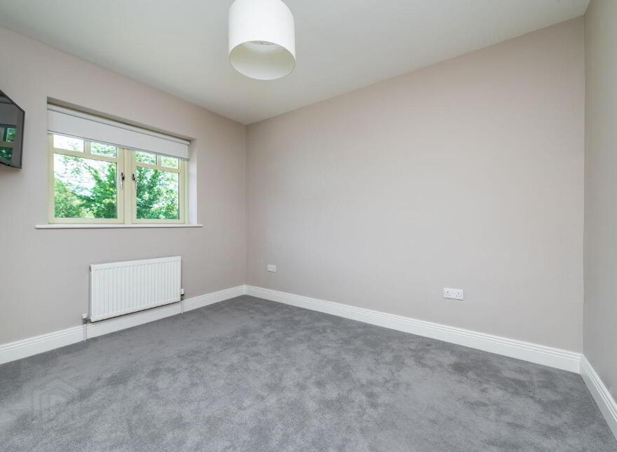 65 Willouise, Sallins, W91WRW2
