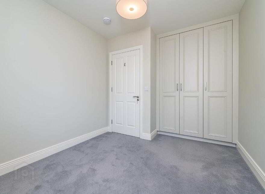 65 Willouise, Sallins, W91WRW2
