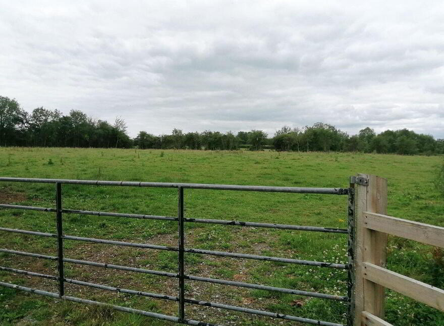 1 Acre Site, Ballyvass, Kilkea