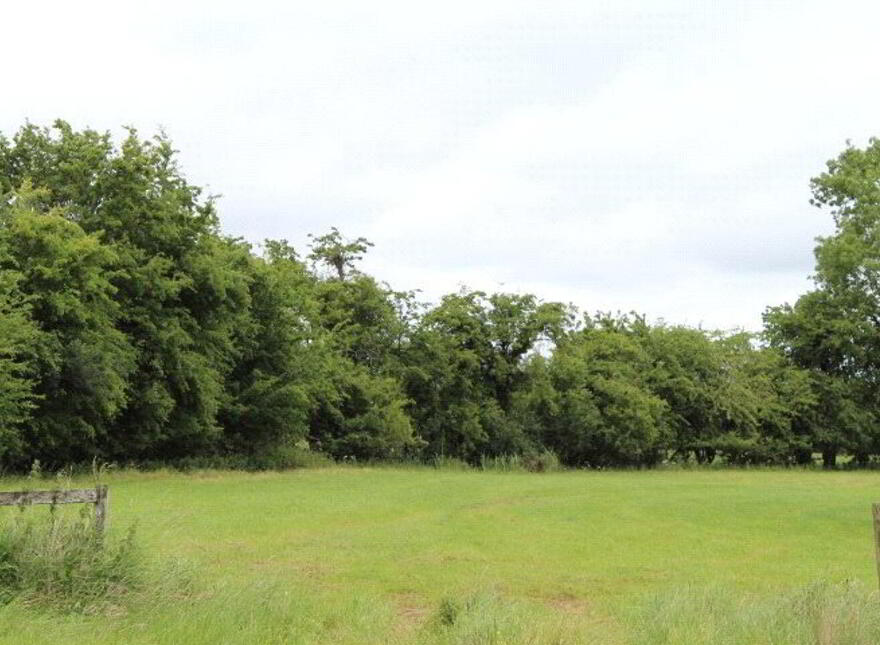 Yew Tree House, Commons The Curragh, Suncroft, R56FX45