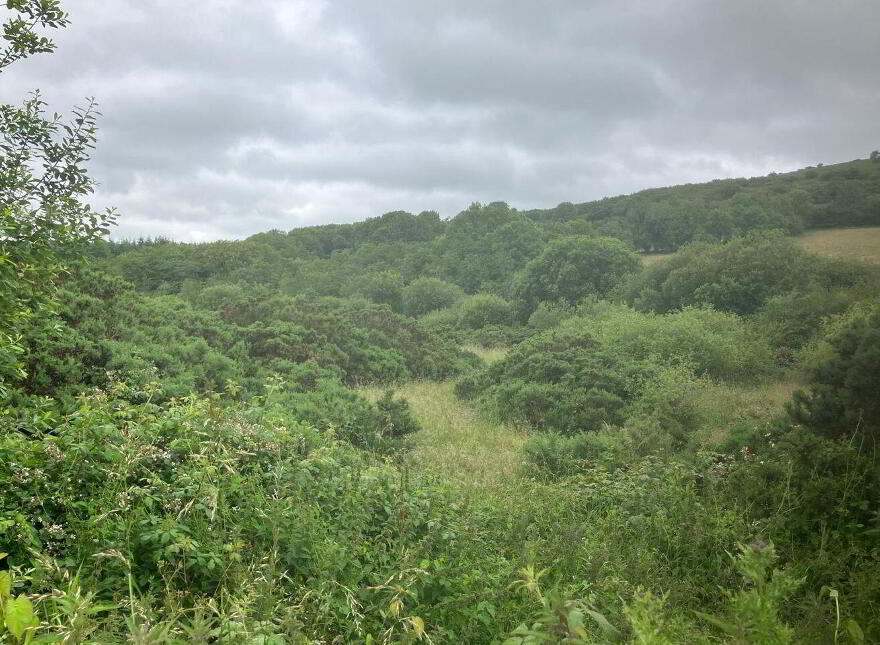 6.94 Acres At, Ballysallagh, Hacketstown, R93E5Y9