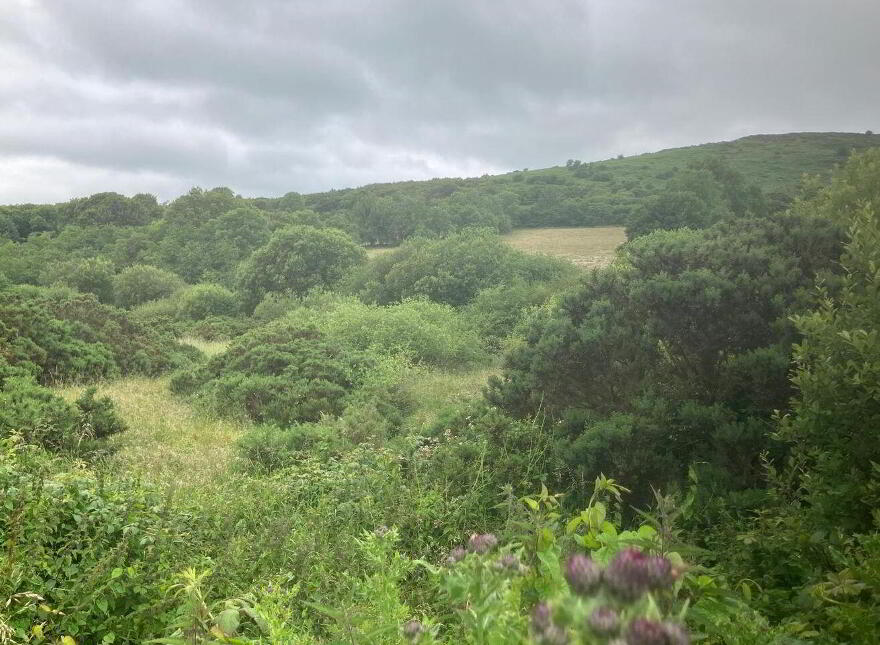 6.94 Acres At, Ballysallagh, Hacketstown, R93E5Y9