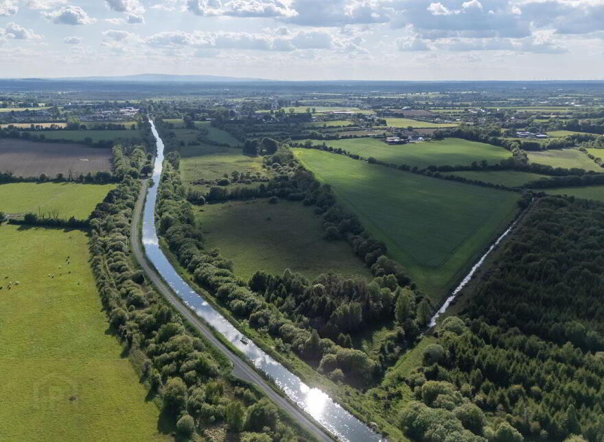 42.406 Acres, 17.16 Hectares, Sallymills, Rathangan