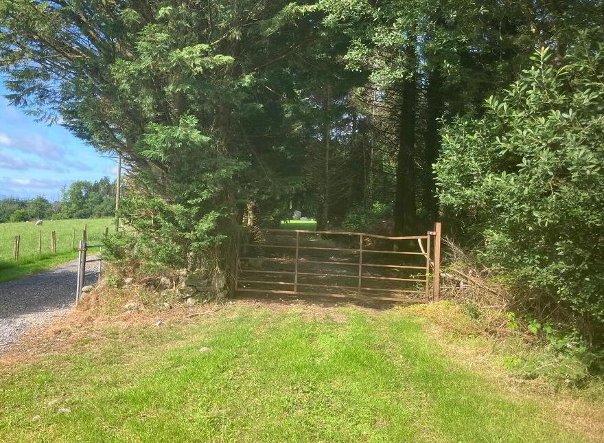 Ballinaguile, Chalet, Rathdangan, W91T3F1