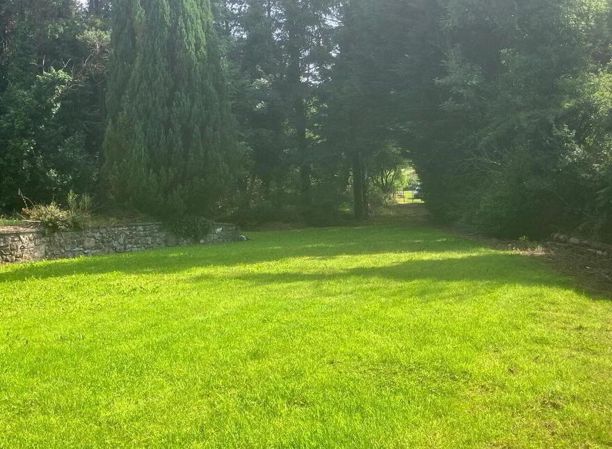Ballinaguile, Chalet, Rathdangan, W91T3F1