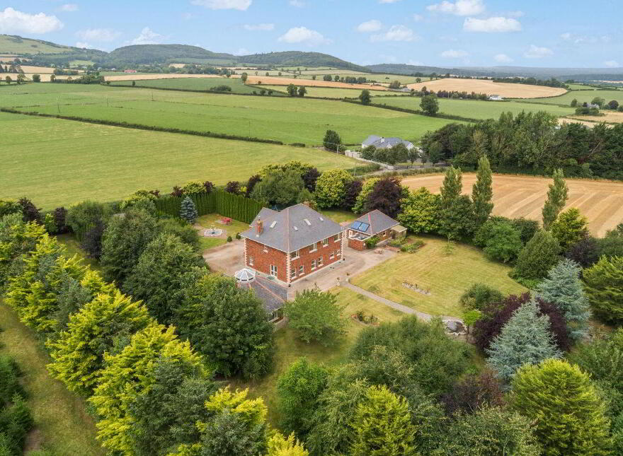Acergrove, Crannagh, Ballyadams, R32HF22
