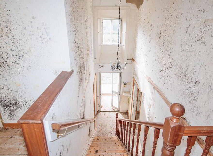 Newpark Lodge, Kilkenny, R95P97X