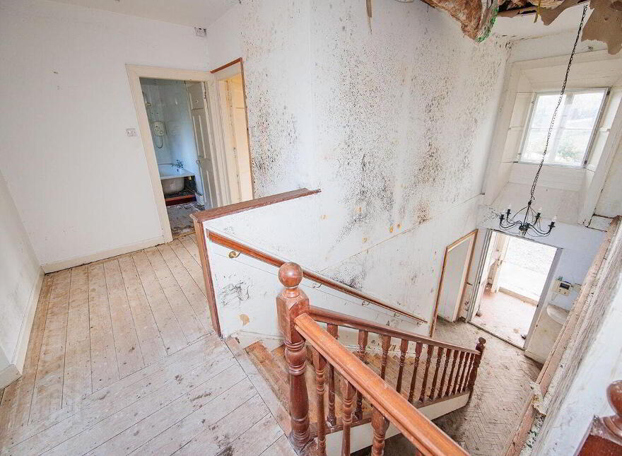 Newpark Lodge, Kilkenny, R95P97X