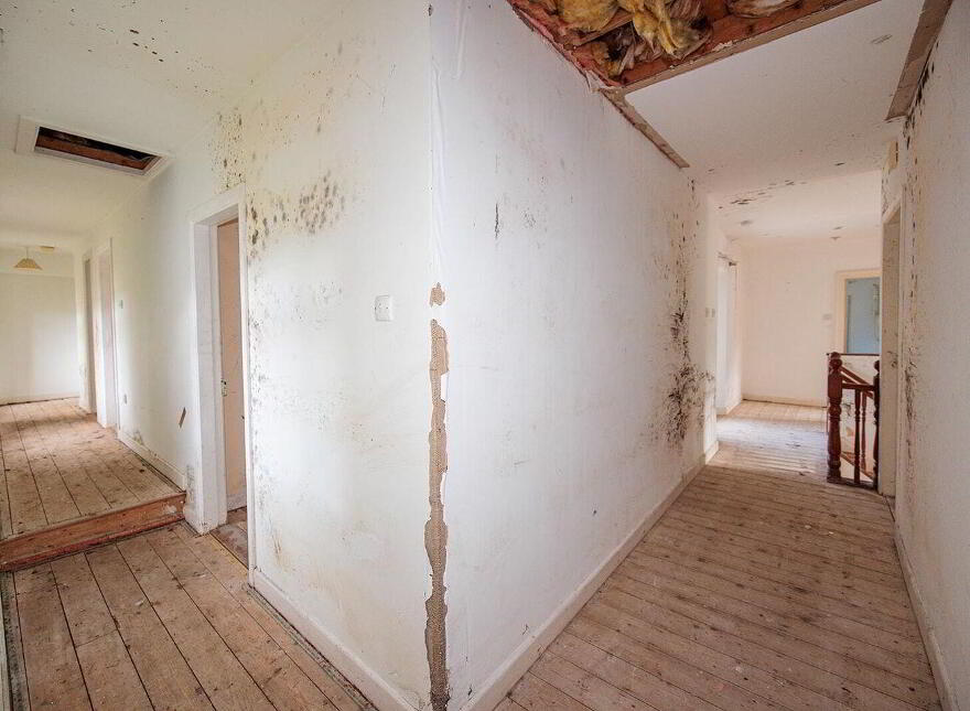 Newpark Lodge, Kilkenny, R95P97X