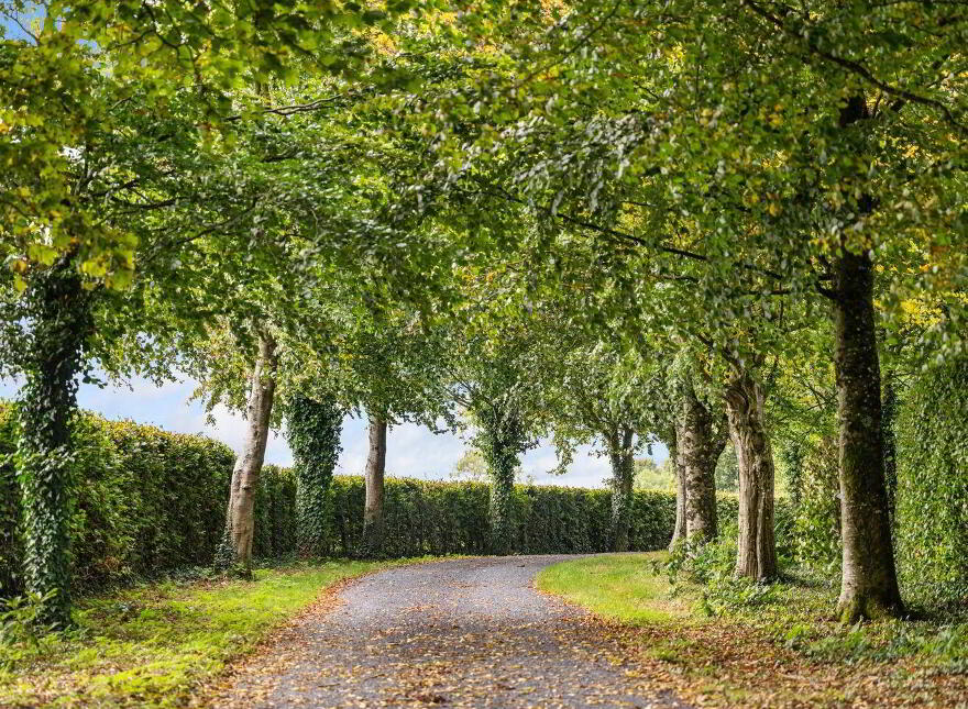 Ballysallagh House, Kilkenny, Kilkenny Town, R95A6P1