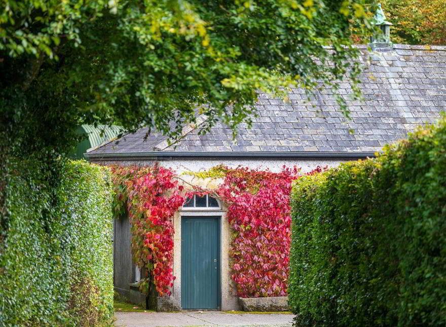 Ballysallagh House, Kilkenny, Kilkenny Town, R95A6P1