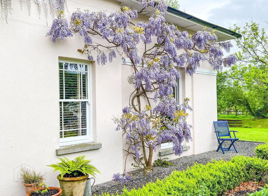 Brownsbarn Lodge, Brownsbarn, Thomastown, R95X2C0