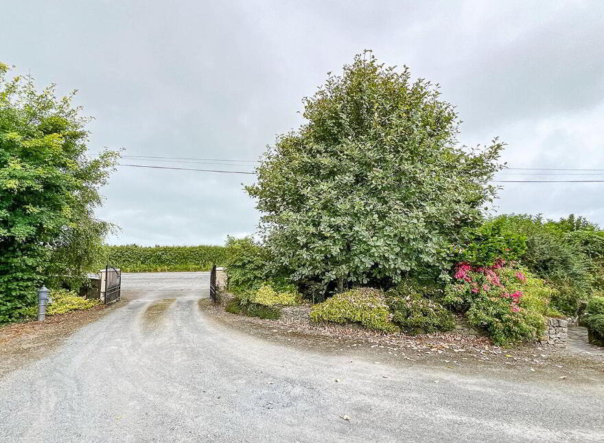 The Paddock On Circa 1, 5 Acres, Baunrickeen, Gattabaun, E41XR84