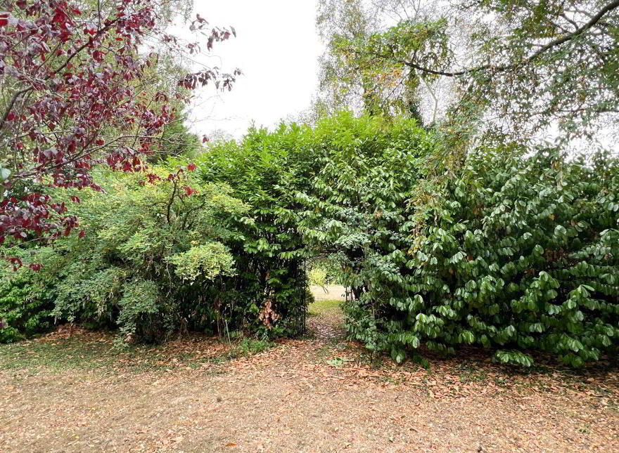 Sandfield, Kilkenny, R95HX3K