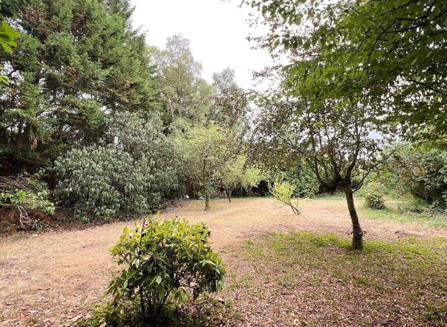 Sandfield, Kilkenny, R95HX3K