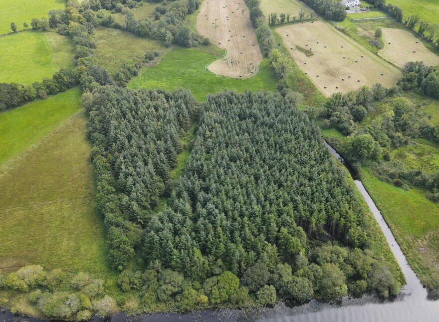 Caldragh, Carrick-On-Shannon
