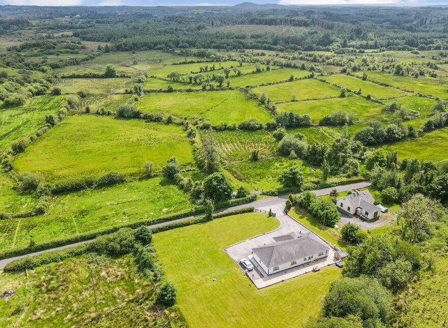 Aghaginny, Drumshanbo, N41AC80