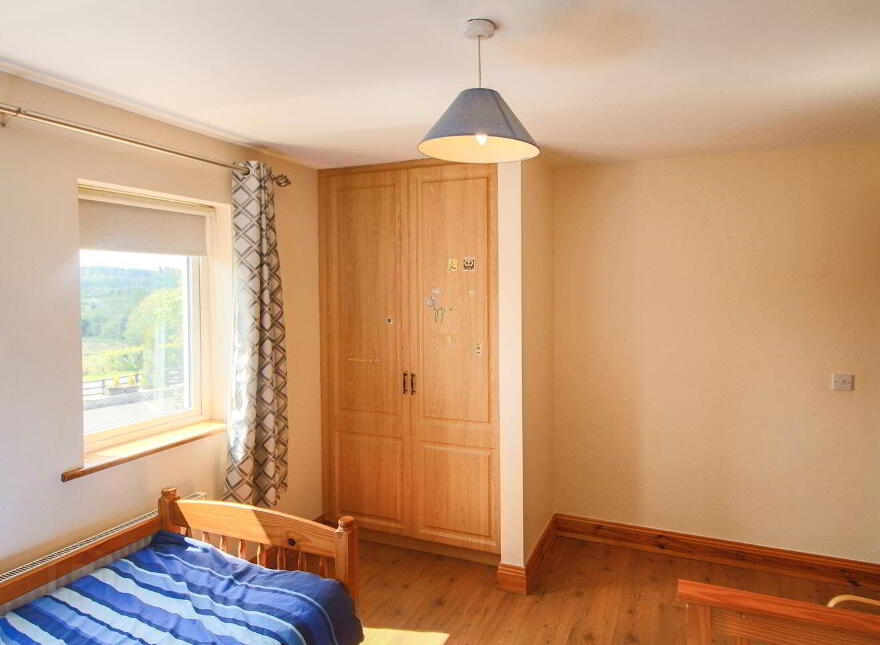 Aghaginny, Drumshanbo, N41AC80