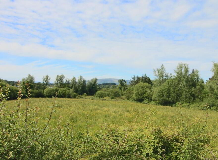 Effrinagh, Kilnagross, N41Y276