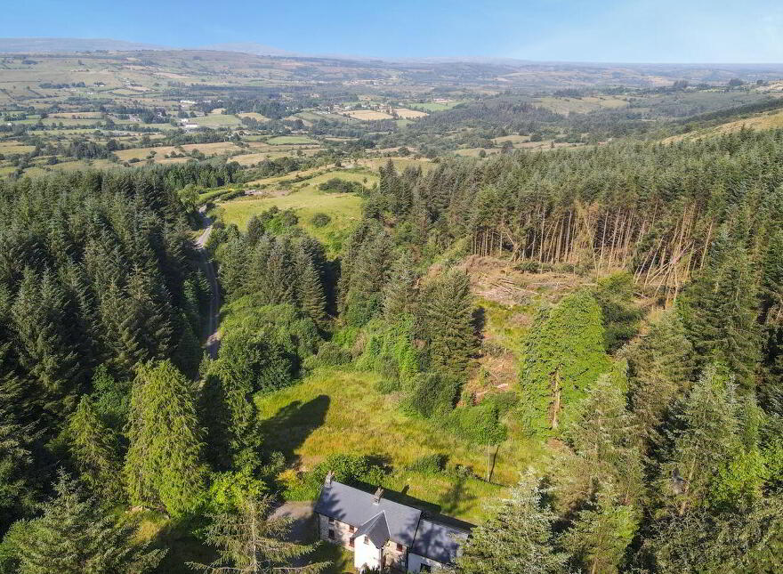 Ballynashee, Geevagh, F52T279