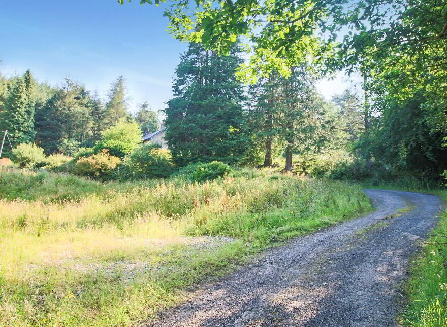 Ballynashee, Geevagh, F52T279